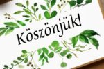 Thumbnail for the post titled: Köszönetnyilvánítás