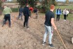 Thumbnail for the post titled: Faültetés a Nagyberegi Tulipán Kézműves Háznál