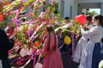 Thumbnail for the post titled: Májusfaállítás a Tulipán Tanoda hálózatában